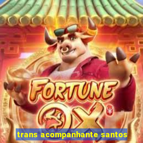 trans acompanhante santos